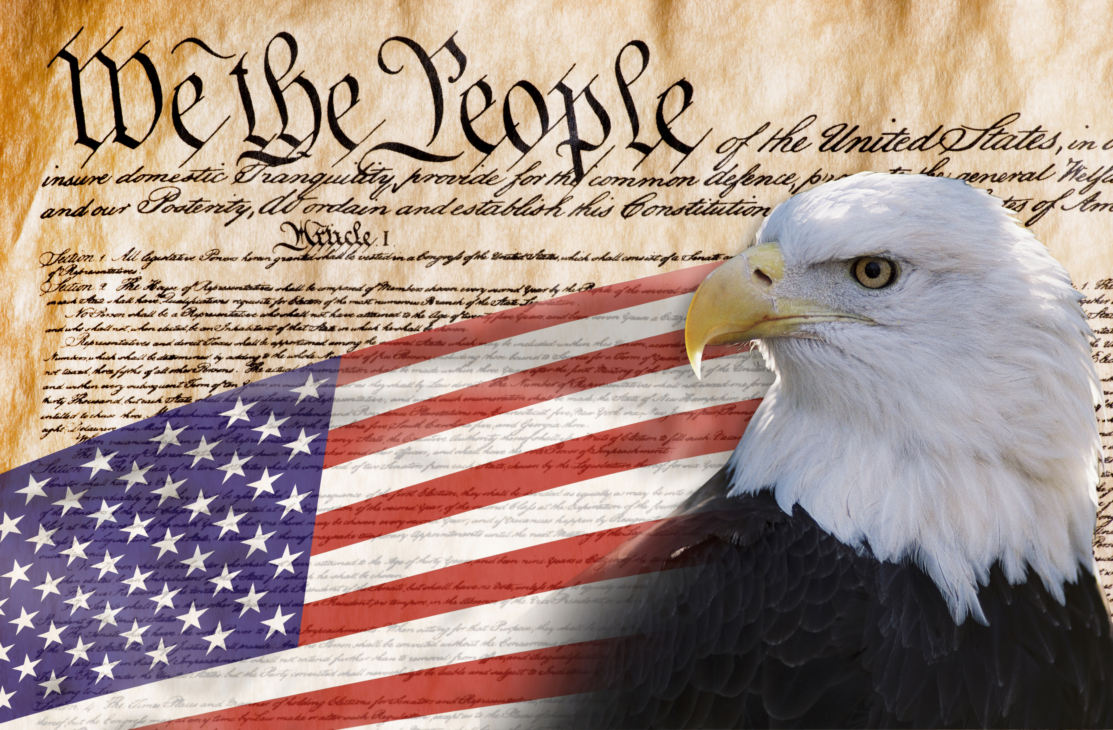 1 we american. Конституция США. Constitution we the people. Конституция США картинки. We the people.